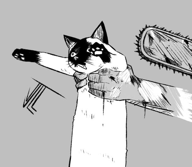 "There was a cat too"